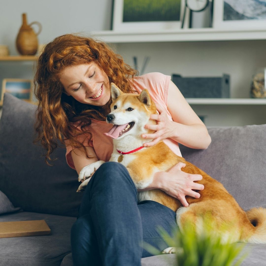 Redhead woman with Shiba Inu. Redhead woman with Shiba Inu.