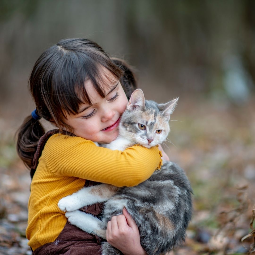 Child gently embraces calico cat Child gently embraces calico cat