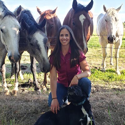 Melissa DiFrancesco, DVM