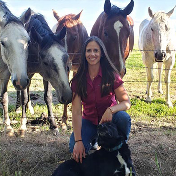 Melissa DiFrancesco DVM Melissa DiFrancesco DVM